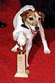 uggie the dog dead 10