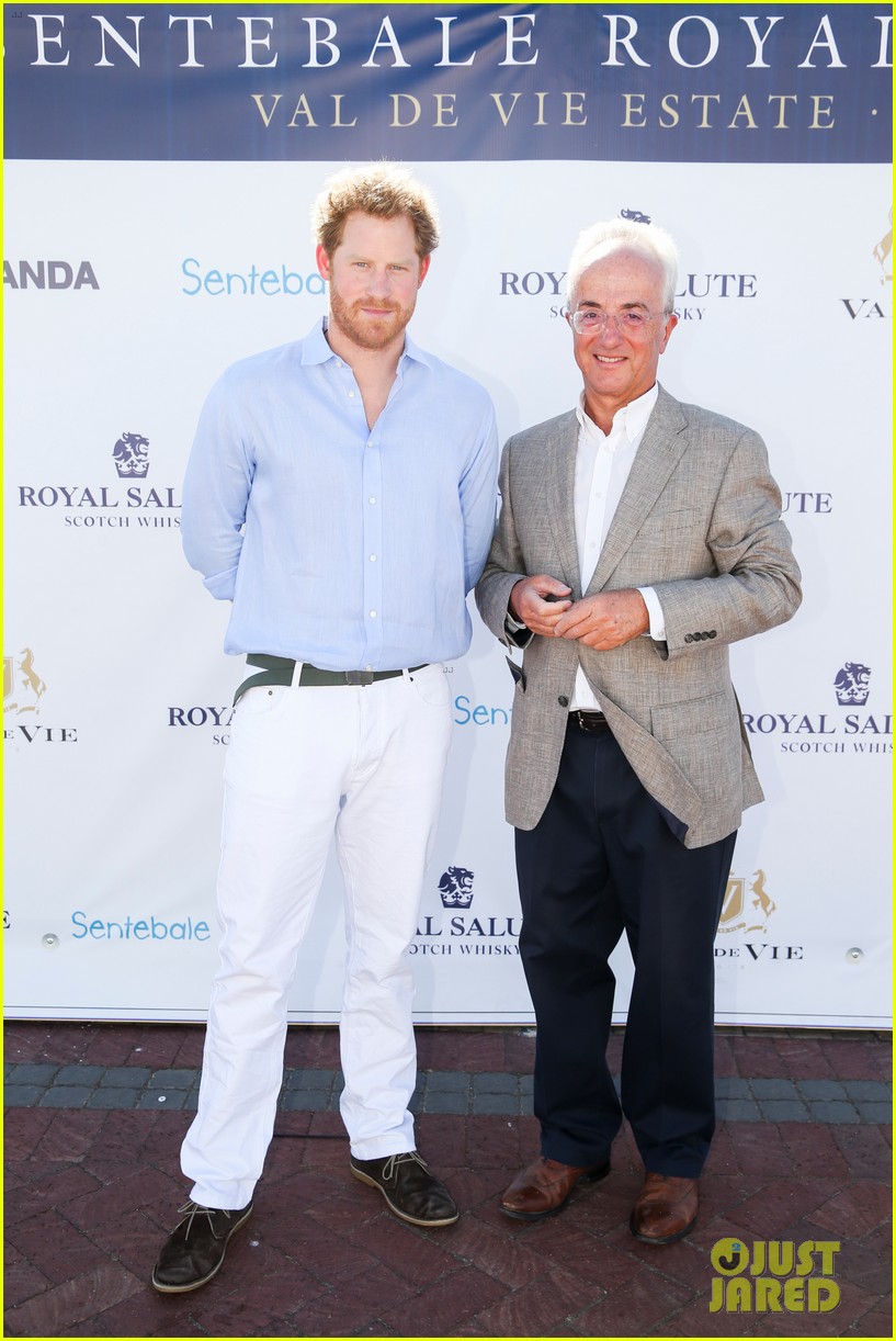 prince harry falls off horse south african polo match 013518315