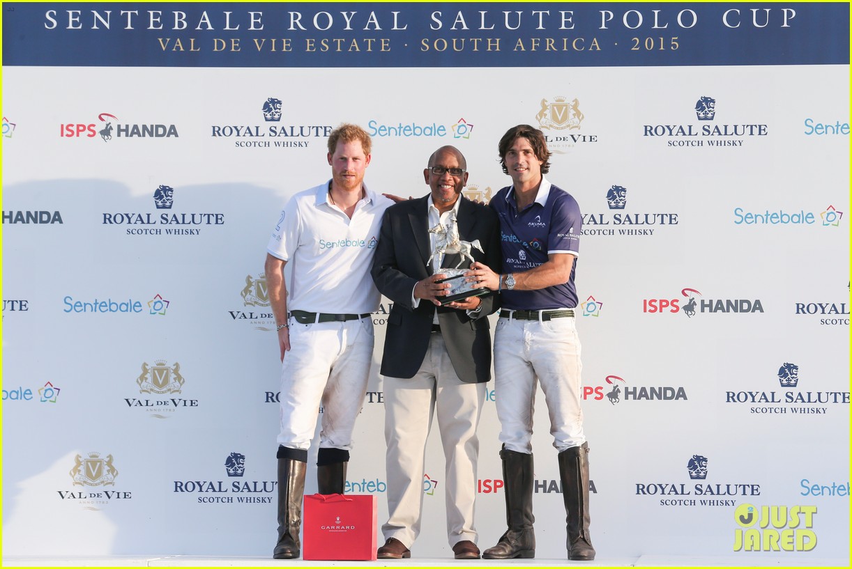 prince harry falls off horse south african polo match 083518322