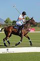 prince harry falls off horse south african polo match 04