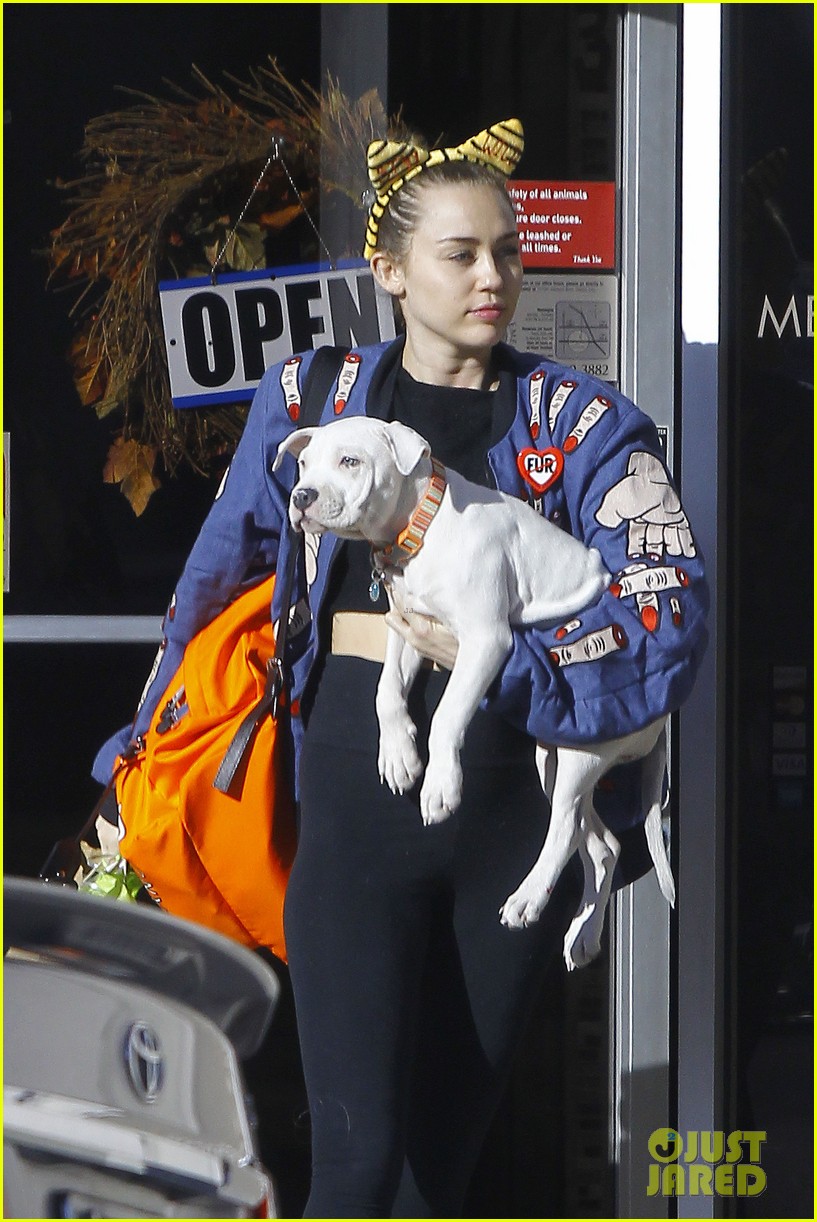 Miley Cyrus Adds Another Pup To Her Animal Fam!: Photo 3505989 | Miley Cyrus  Pictures | Just Jared
