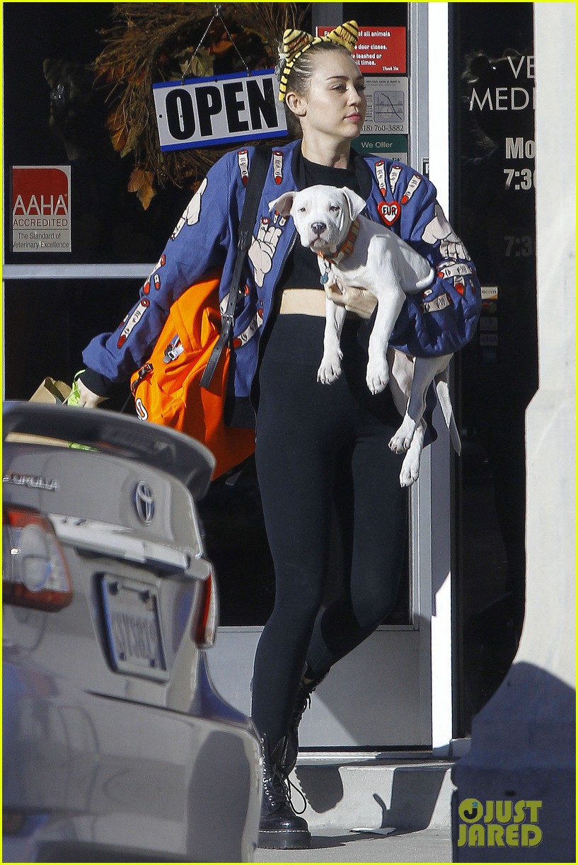 Miley Cyrus Adds Another Pup To Her Animal Fam!: Photo 3505990 | Miley Cyrus  Pictures | Just Jared