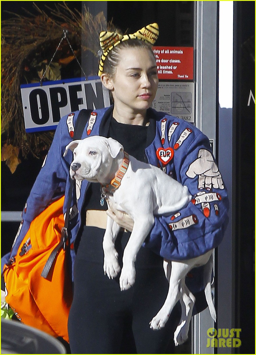 Miley Cyrus Adds Another Pup To Her Animal Fam!: Photo 3505998 | Miley Cyrus  Pictures | Just Jared