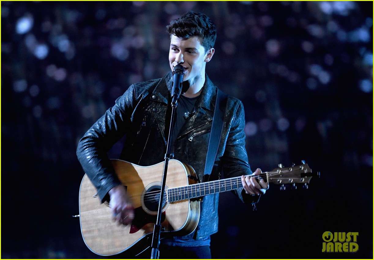 Shawn Mendes & Camila Cabello Rock the Stage at People's Choice Awards(02)