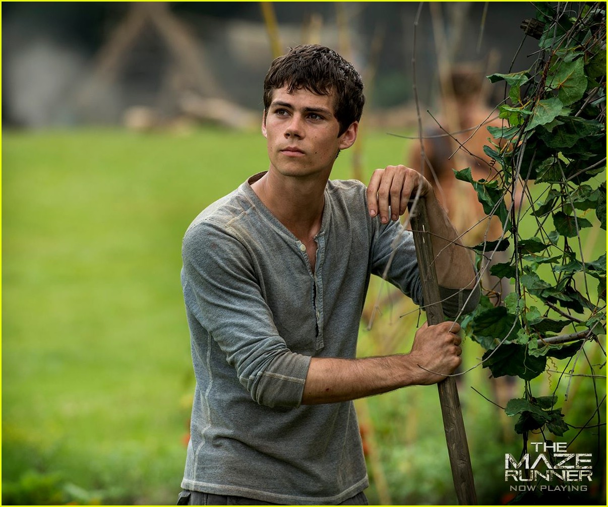 Dylan O'Brien Severely Injured on 'Maze Runner 3' Set Photo 3608949