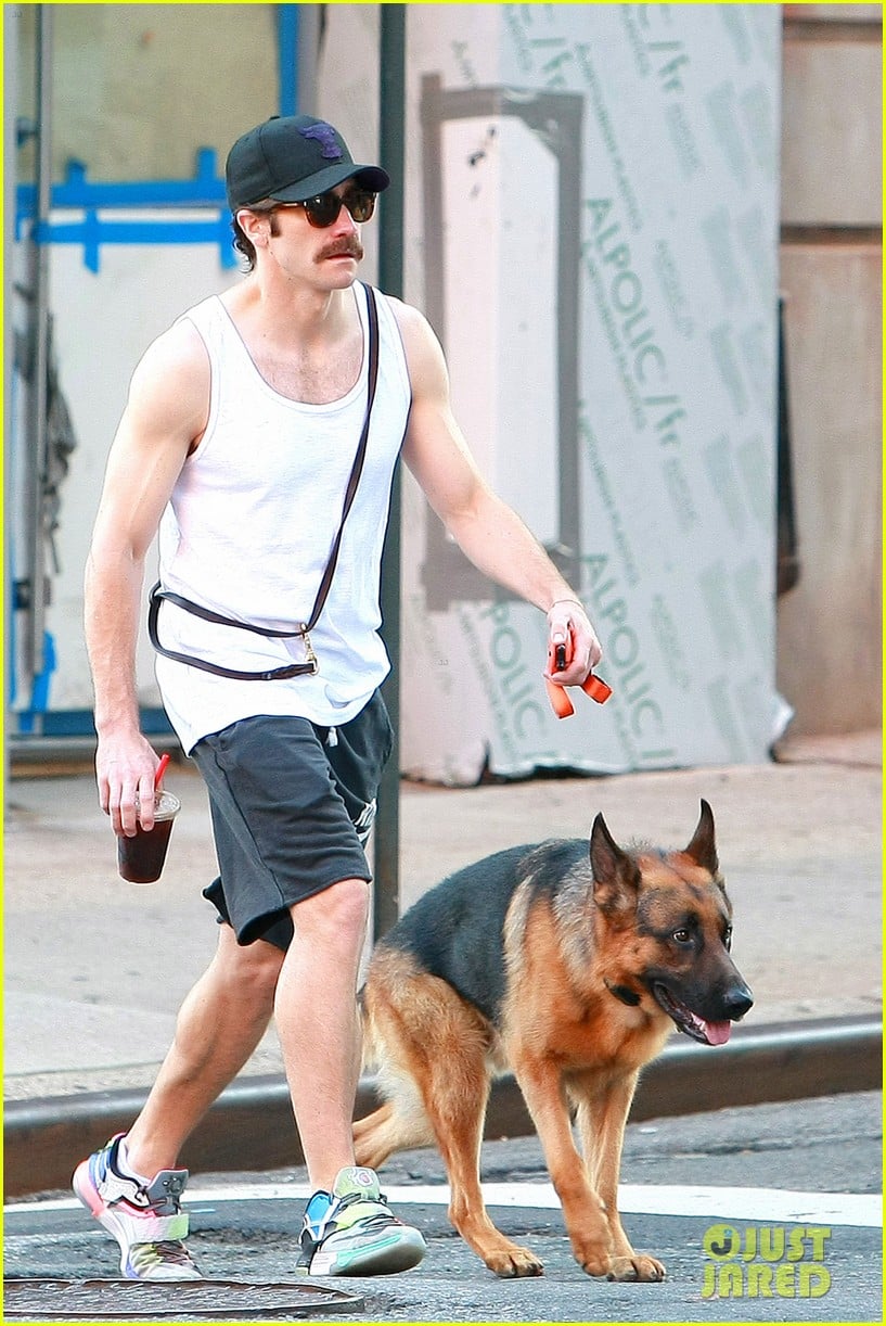 Photo jake gyllenhaal huge arm muscles 03 Photo 3710499 Just Jared