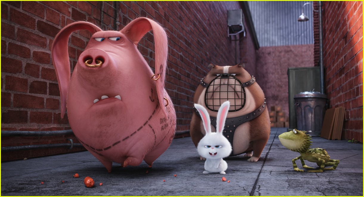 ‘Secret Life of Pets’ Cast - Meet the Voices of the Characters!: Photo