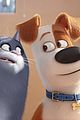 secret life of pets sequel hits theaters in 2018 03