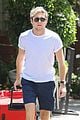 niall horan luggage sunset marquis 06
