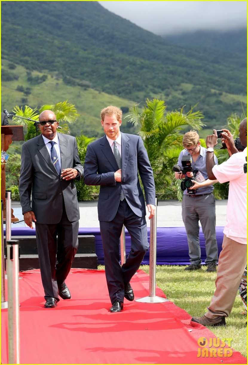 Prince Harry Releases Baby Turtles into the Ocean on Caribbean Tour