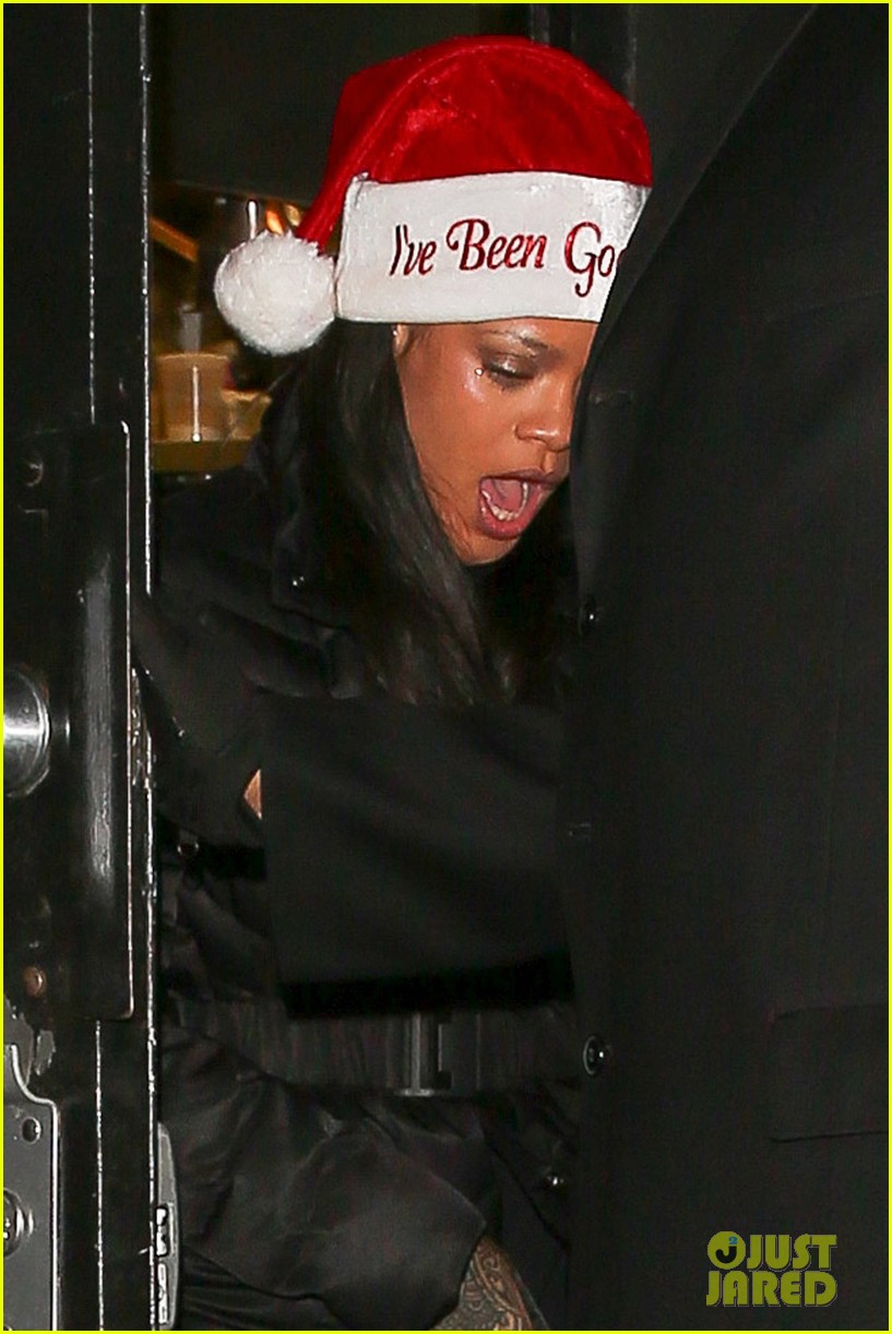 Rihanna Has the Perfect Last Minute Holiday Gift Idea! Photo 3830800
