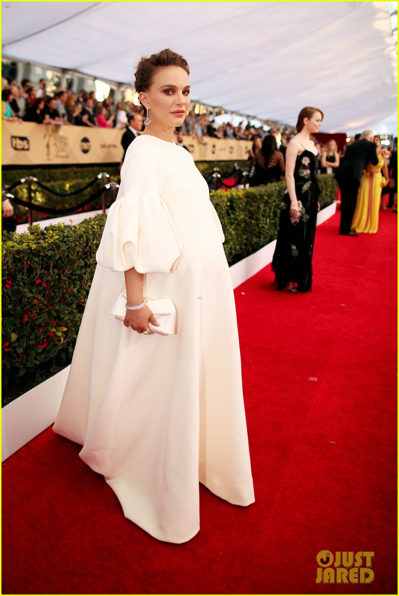 Natalie Portman Will Not Attend Oscars 2017 Due to Pregnancy Photo