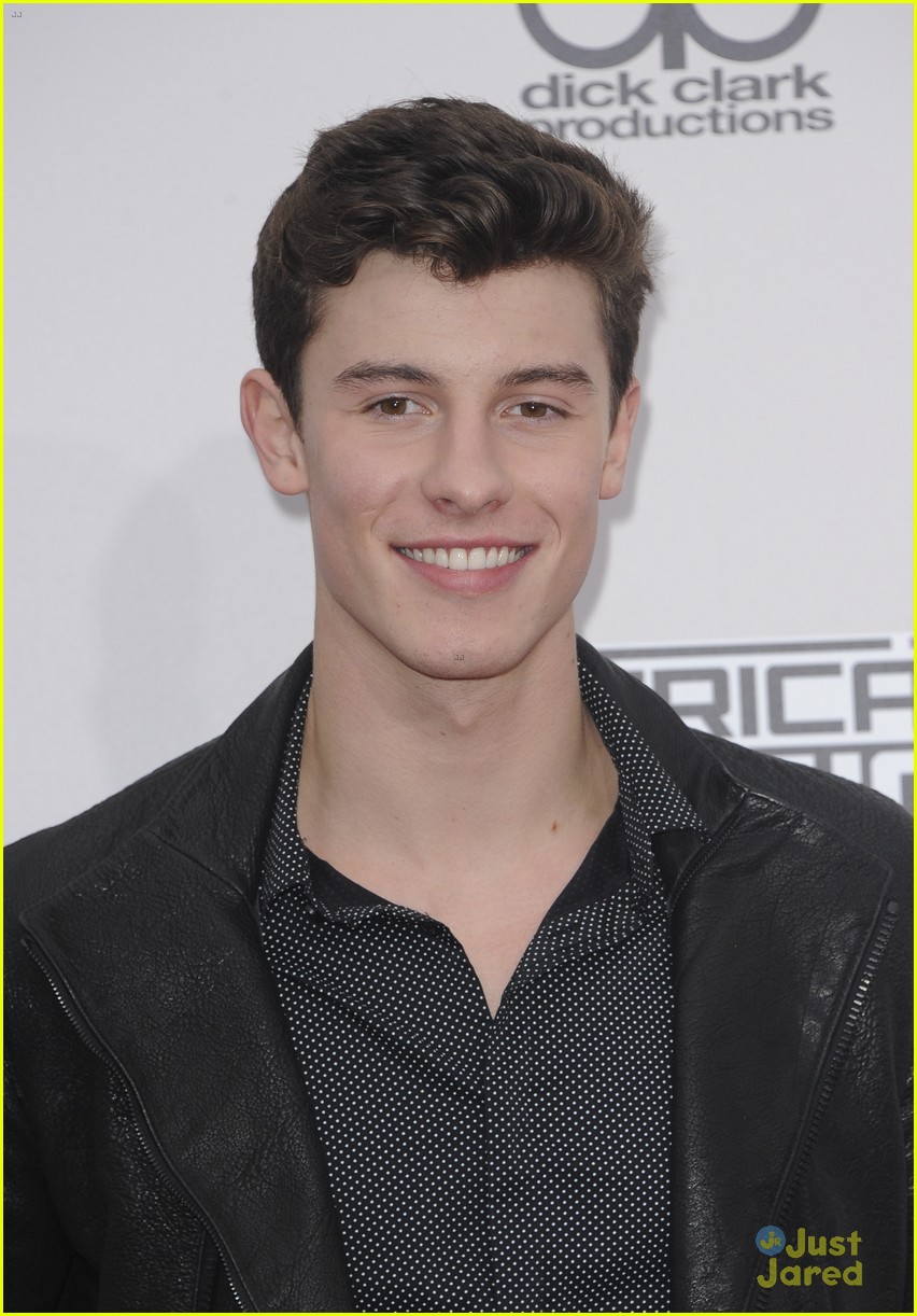 Singer Shawn Mendes Books First Major Acting Role! Photo 3873832