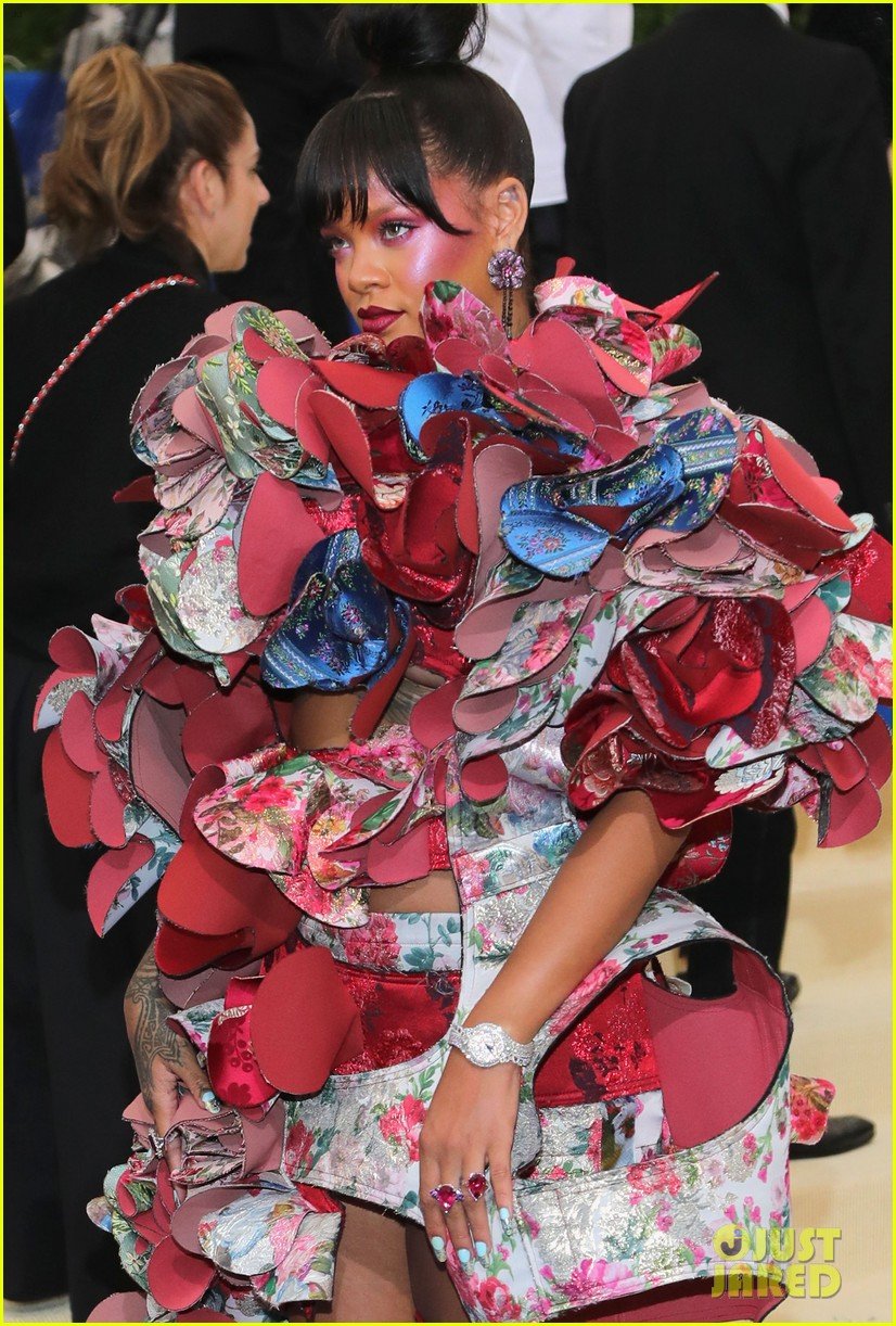 Lady Gaga Picks Her Best Dressed from Met Gala 2017! Photo 3894250