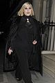 hayley hasselhoff arrested for dui 02