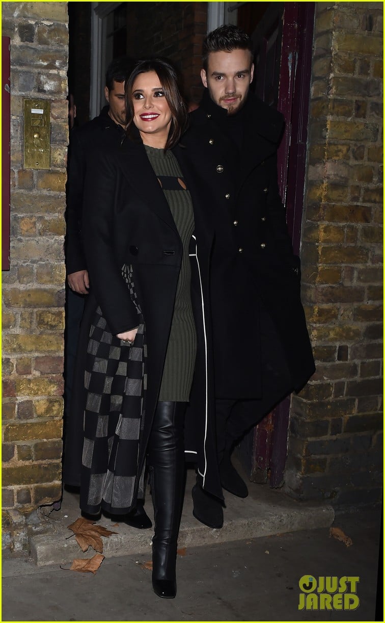 Liam Payne And Cheryl Cole's Baby A Journey Into Parenthood