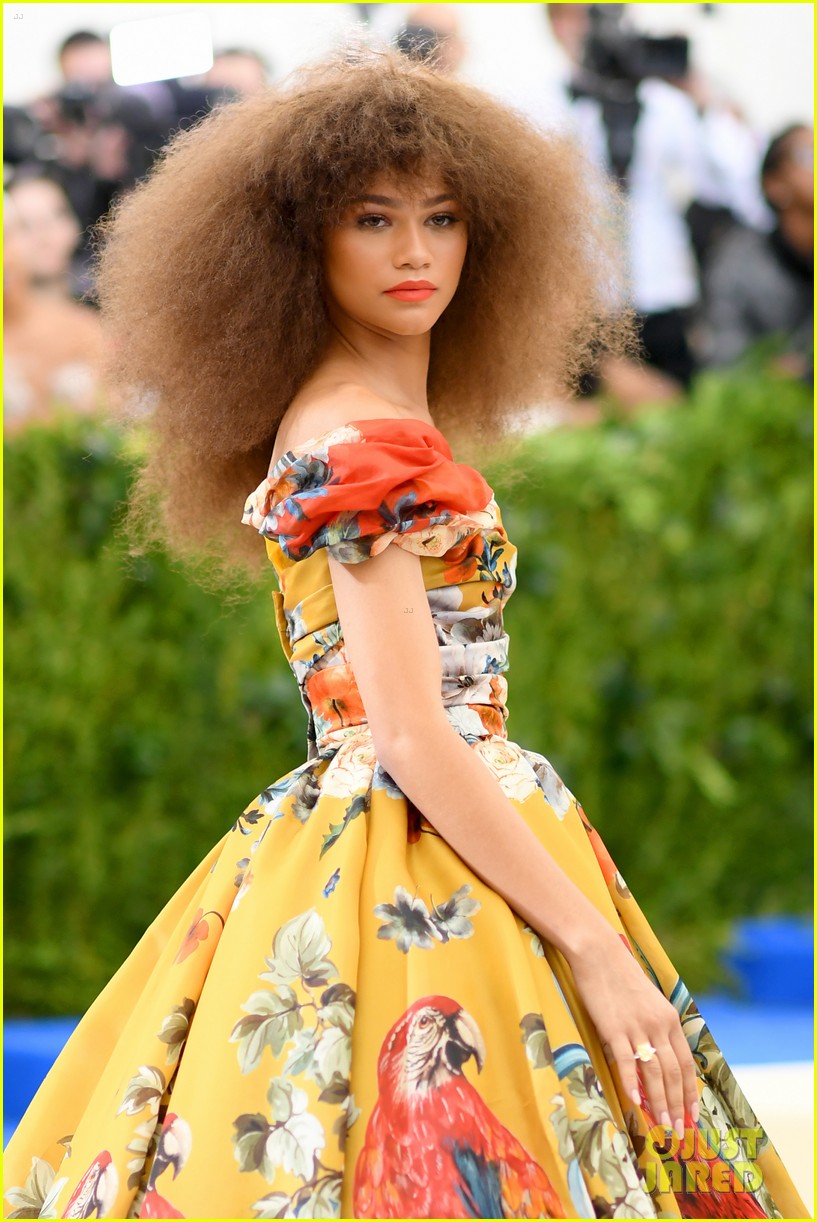 See Zendaya's Golden Gown For Met Gala 2017: Photo 3893085 | Pictures