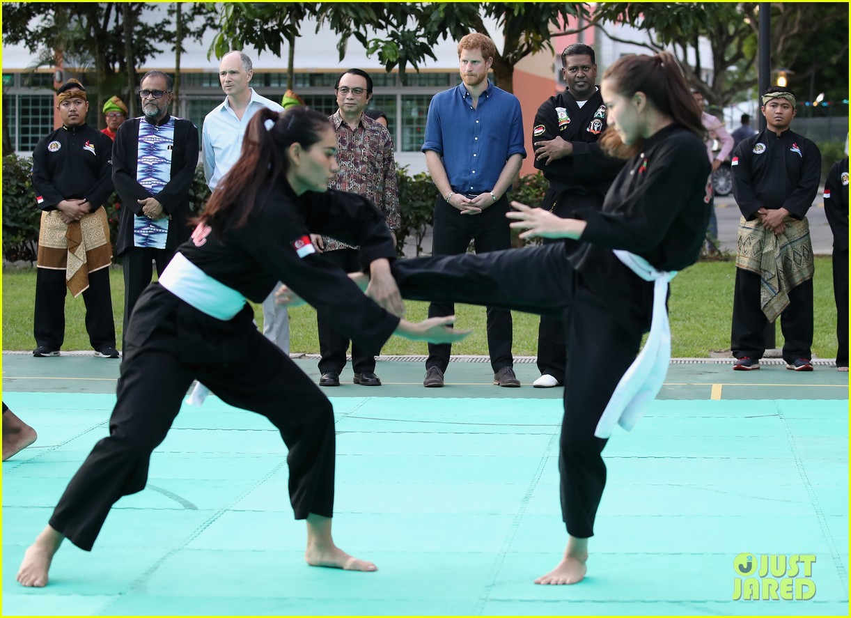 Prince Harry Looks Impressed at Martial Arts Match in Singapore Photo