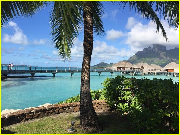 Jerry Ferrara & Wife Breanne Racano Share Honemoon Photos!: Photo ...