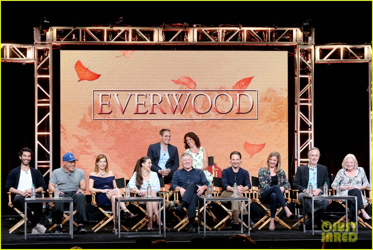 'Everwood' Cast Holds Epic Reunion, Talks Possible Reboot Photo