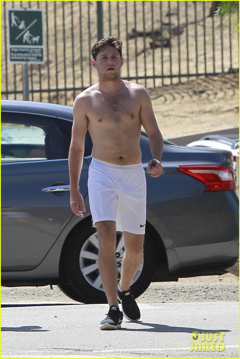 Niall Horan Goes Shirtless for Hike at L.A.'s Runyon Canyon!: Photo 3940910  | Niall Horan, Shirtless Pictures | Just Jared