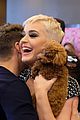katy perry celebrates birthday early with an american idol puppy party 04