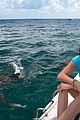 nina dobrev swims with sharks 05