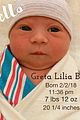 greta bean birth announcement 2018 february 02