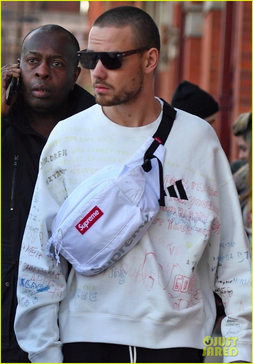 The Secret Liam Payne Doesnt Want You To Know About Building The Band - kdai7vd