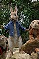 'Peter Rabbit' Filmmakers Apologize Over Food Allergy Controversy ...