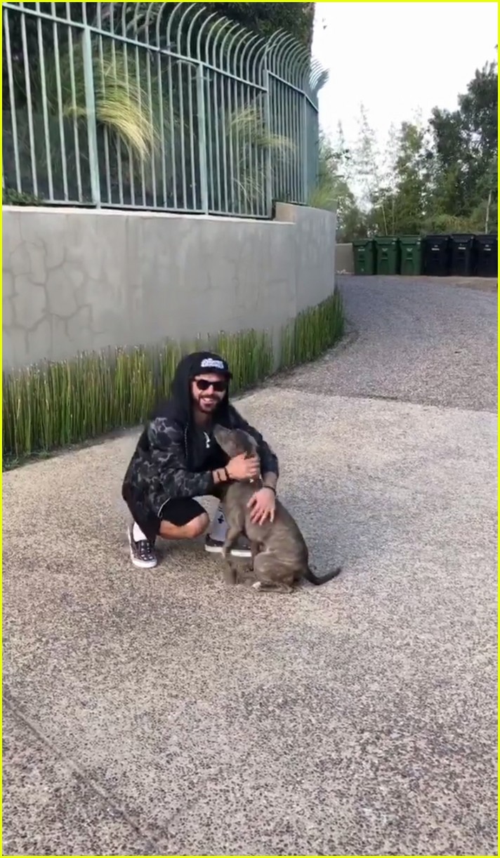 Zac Efron Introduces Fans to His Rescue Pup Maca! Photo 4060709 Zac