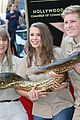 steve irwins family brings snake to walk of fame ceremony 02