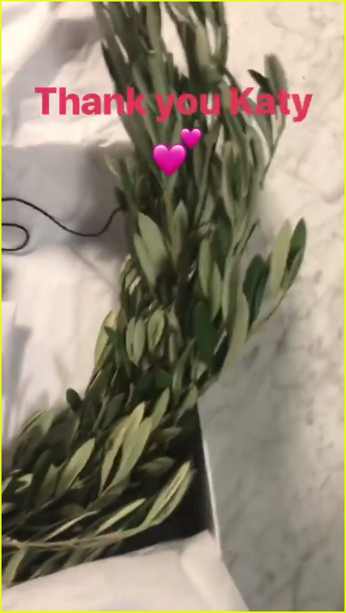 Katy Perry Ends Taylor Swift Feud, Literally Sends Her Olive Branch