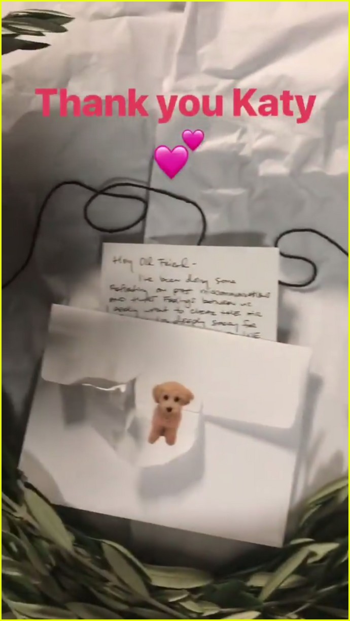 Katy Perry Ends Taylor Swift Feud, Literally Sends Her Olive Branch