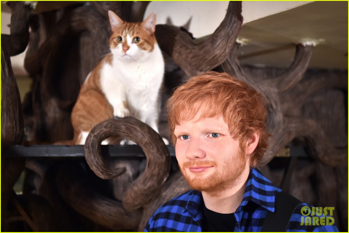 Ed Sheeran Gets a Wax Figure at a Cat Cafe in London! Photo 4100234(01)