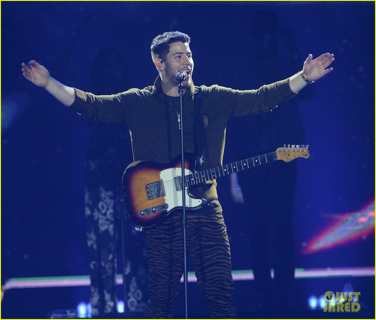 Priyanka Chopra Supports Nick Jonas at Brazil Concert Photo 4109759