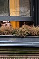 amy adams begins filming woman in the window 05