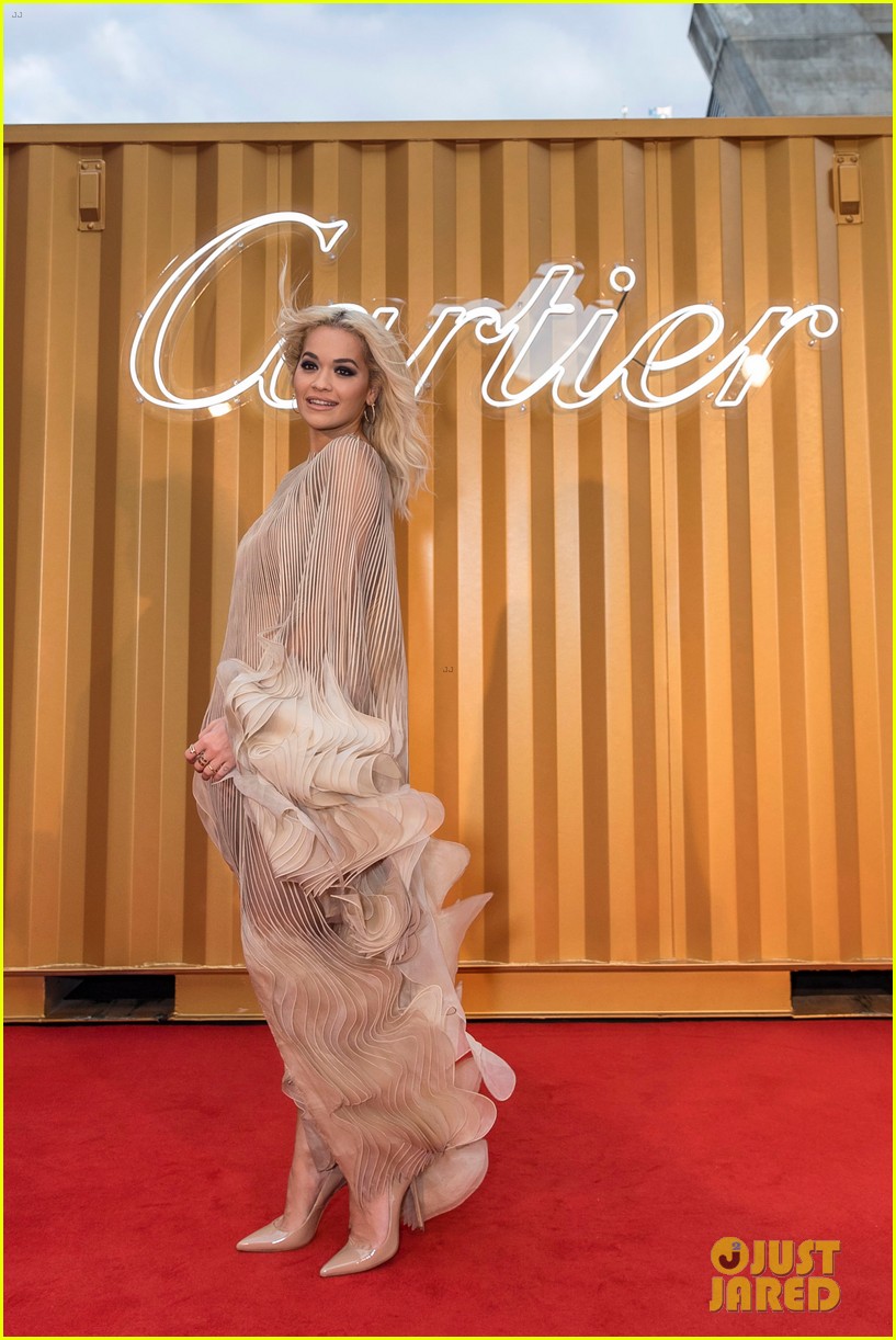 Rita Ora & Elizabeth Debicki Get Glam at Cartier Precious Garage Party