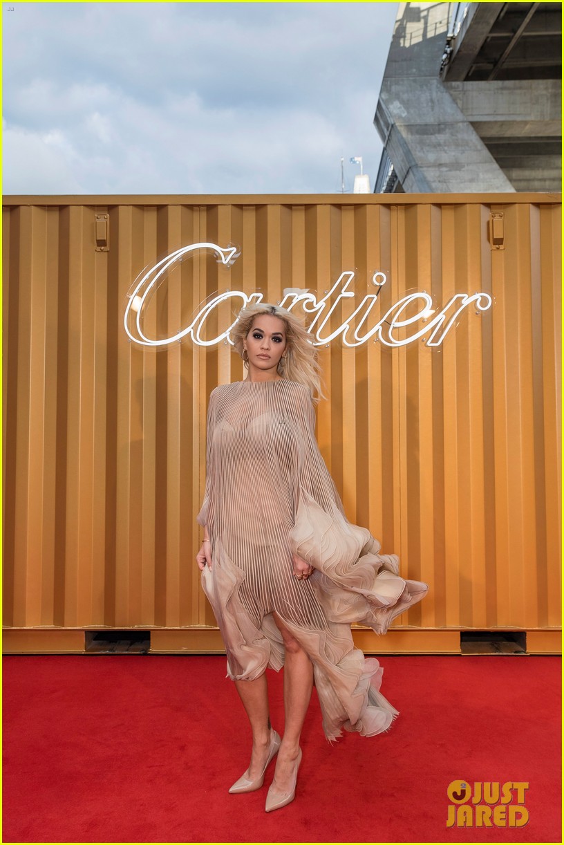 Rita Ora & Elizabeth Debicki Get Glam at Cartier Precious Garage Party