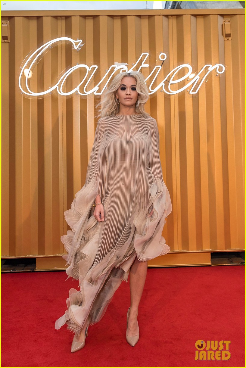 Rita Ora & Elizabeth Debicki Get Glam at Cartier Precious Garage Party