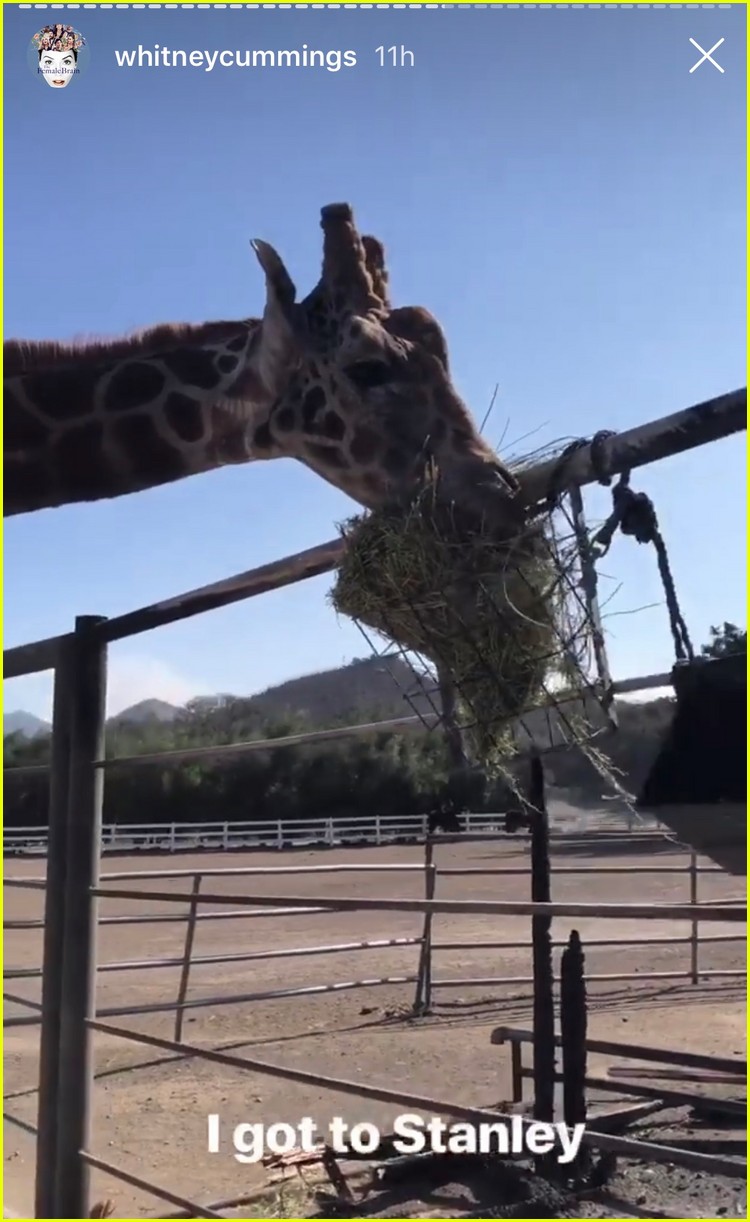 Whitney Cummings Calls Out Malibu Wines for Not Evacuating Stanley the