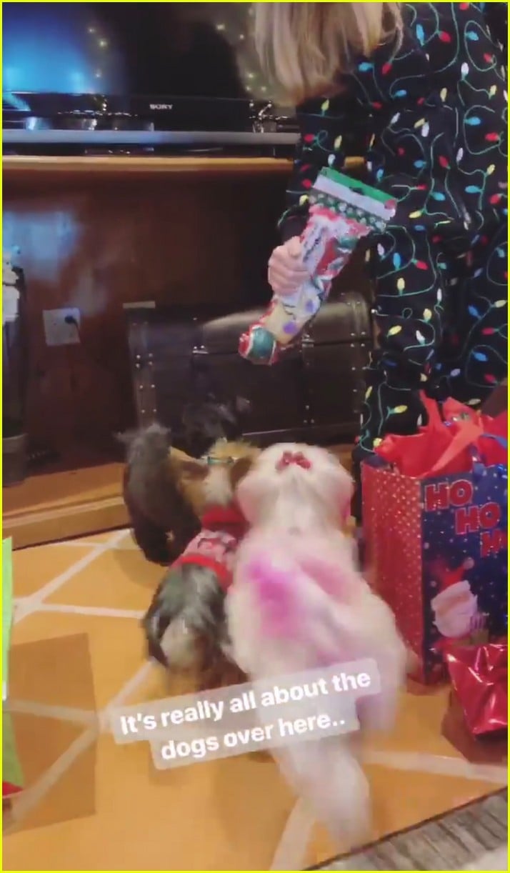 Demi Lovato Takes Fans Inside Her Christmas Morning! Photo 4202482