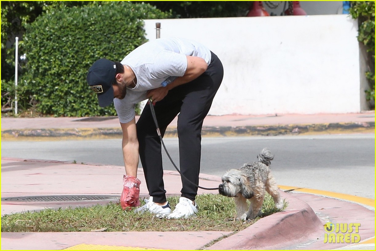 Emily VanCamp & Josh Bowman Share Honeymoon Kisses in Miami!: Photo