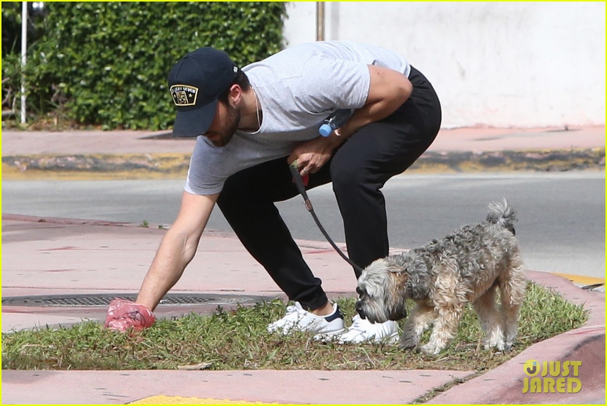 Emily VanCamp & Josh Bowman Share Honeymoon Kisses in Miami!: Photo