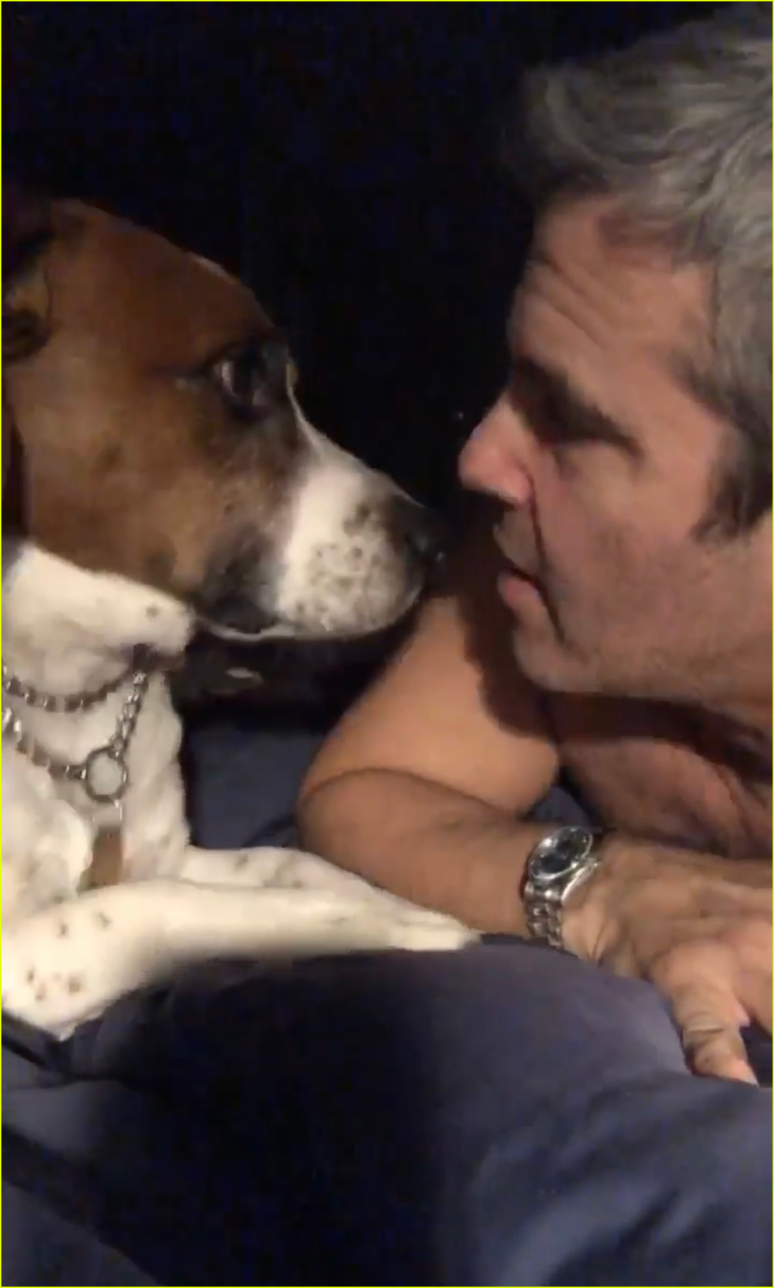 Andy Cohen Fires Back at Critics After Dog Destroys Son's Toy Photo