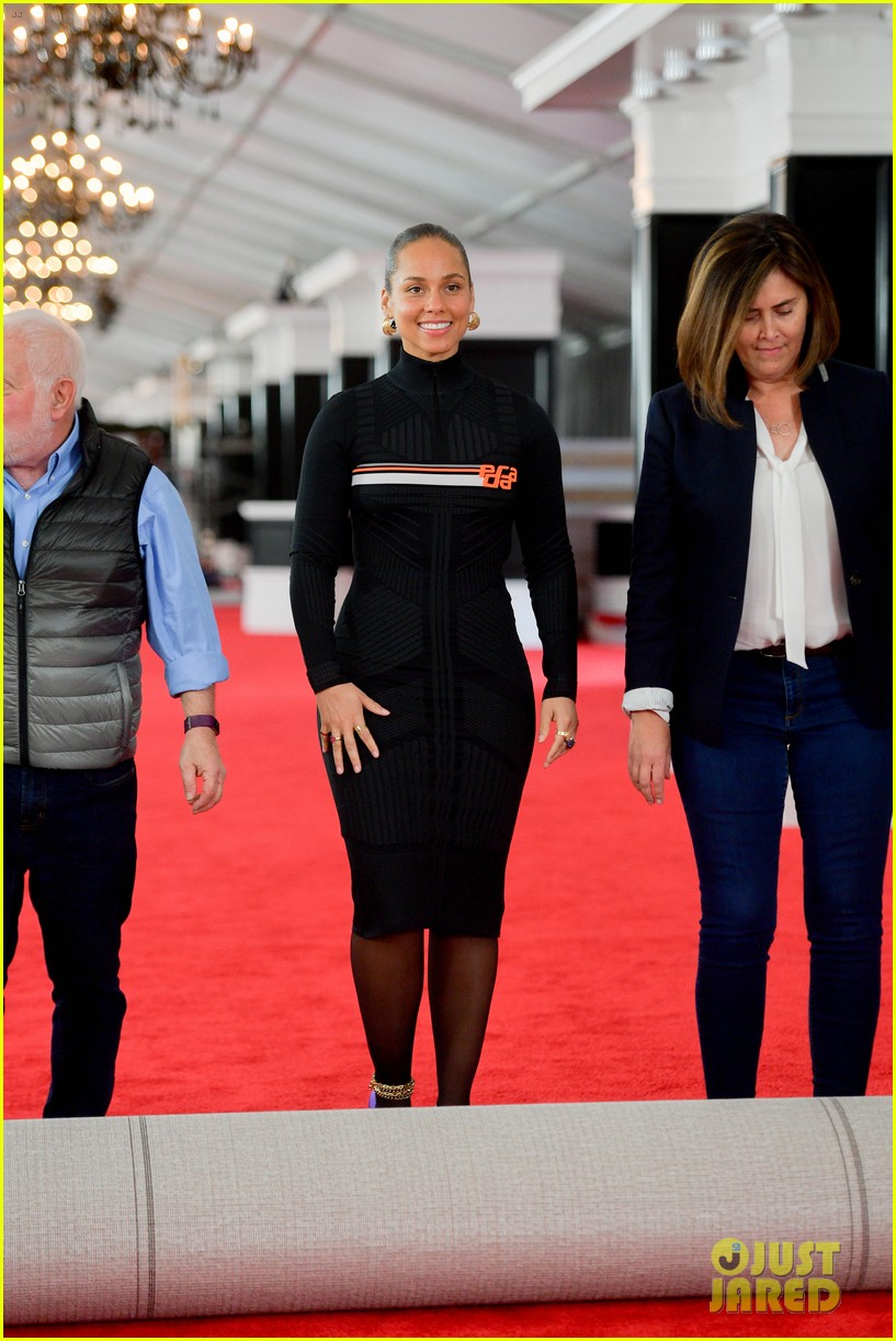 Alicia Keys Rolls Out the Grammys 2019 Red Carpet! Photo 4225315