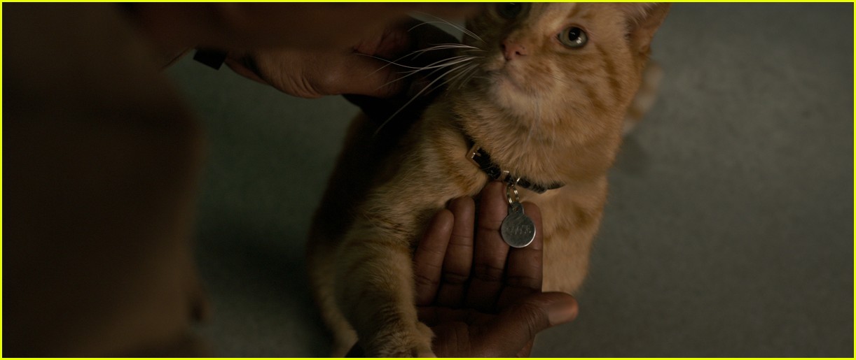 Goose, the Cat in 'Captain Marvel,' Is Actually a...: Photo 4253446