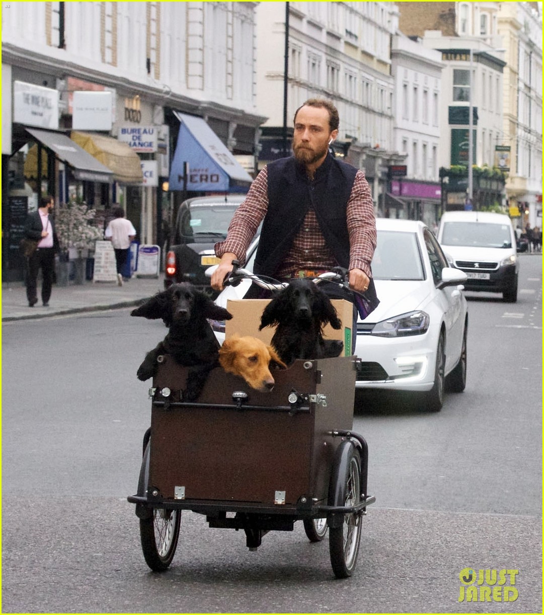 James Middleton Kate & Pippa's Younger Brother Takes His 3 Dogs on