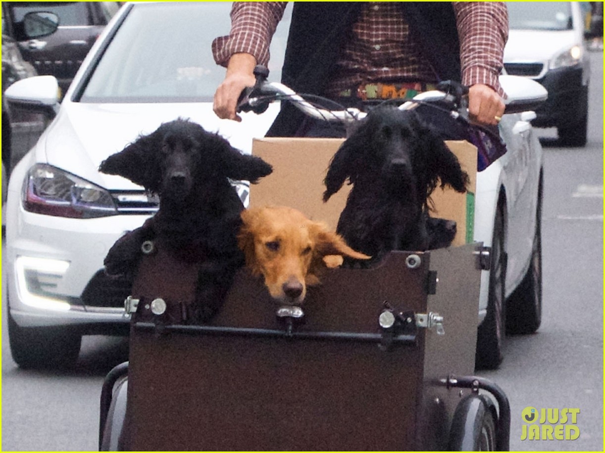 James Middleton Kate & Pippa's Younger Brother Takes His 3 Dogs on