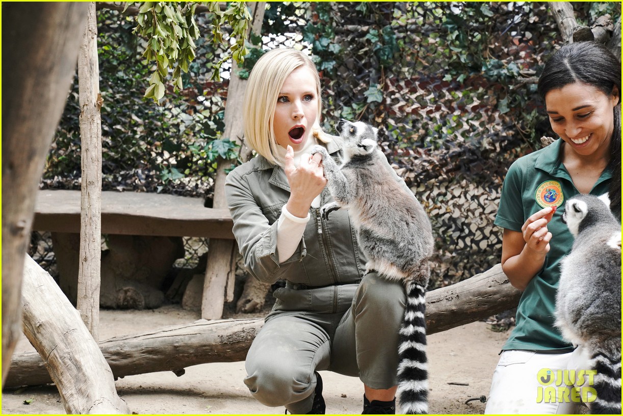 Kristen Bell Reunites With A Sloth on 'Ellen' Series After Her Viral